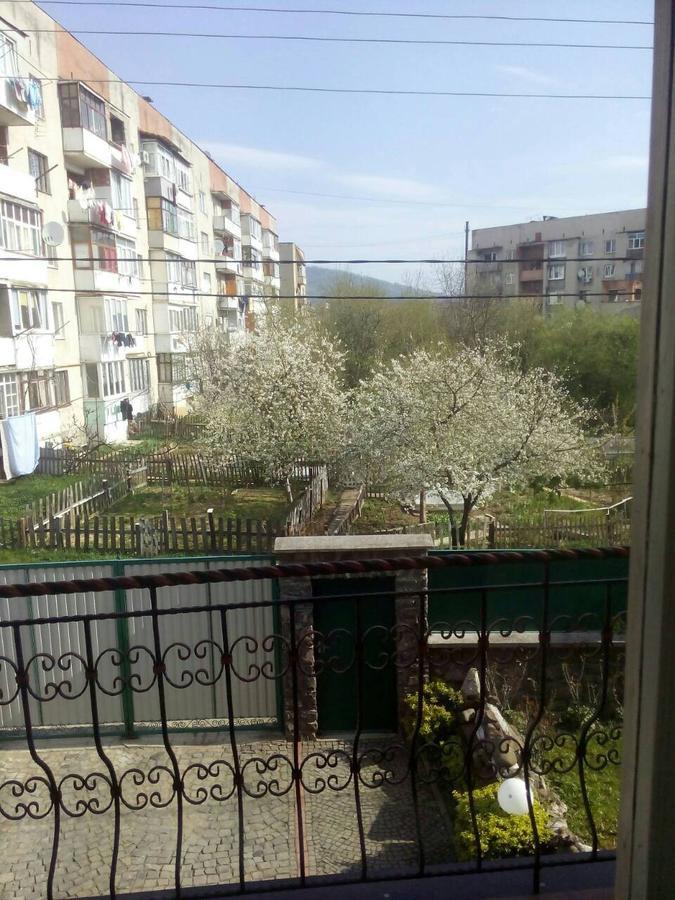 Domashnya Saduba Hotel Mukatjevo Eksteriør billede